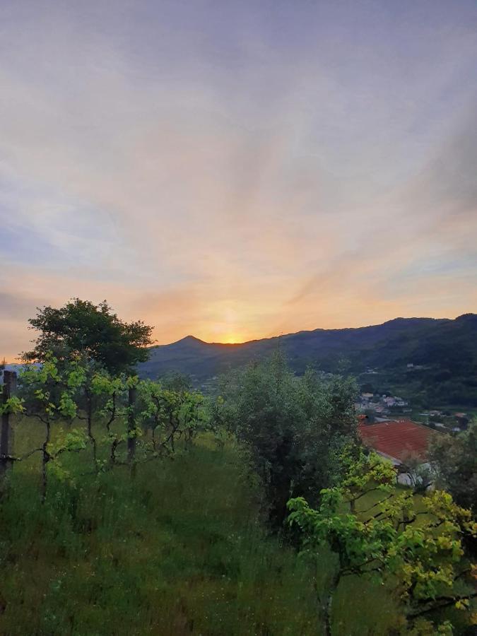 Vila Casa Da Poca Baião Exteriér fotografie
